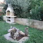 Zic - Mrakovcic 3*