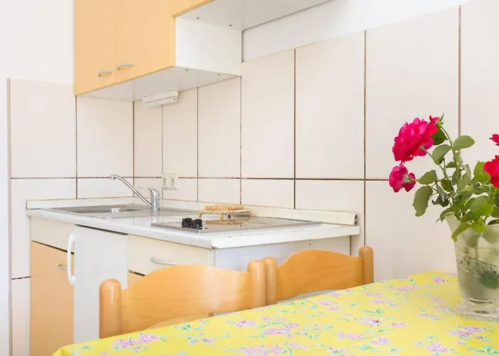 Penzion Zic - Mrakovcic 3*