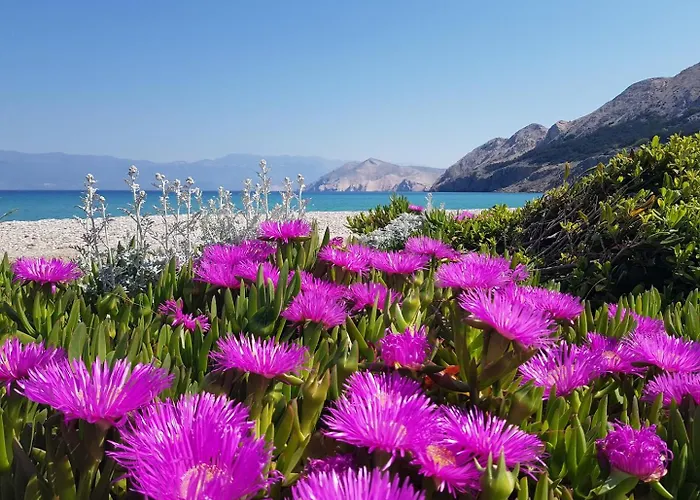 Penzion Zic - Mrakovcic 3*